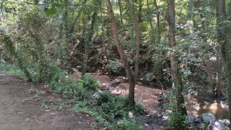 Parc de la Corbadora al Pont del Moli de les Pipes PR C 202 Arbucies 25 768x432