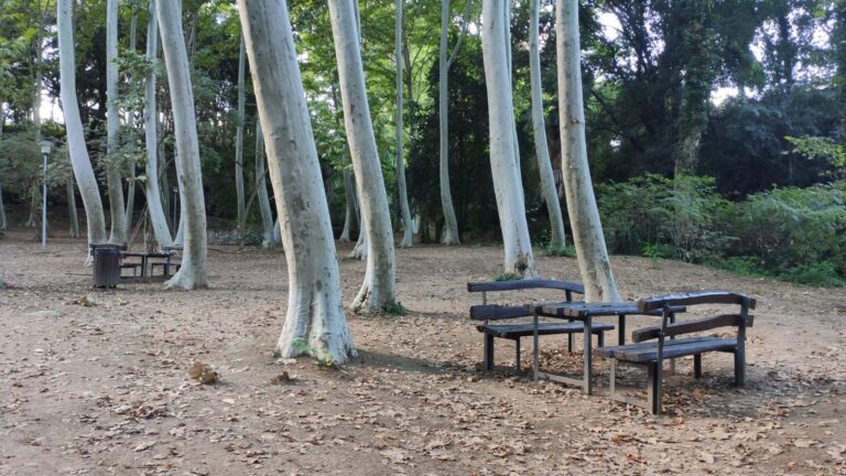 Parc de la Corbadora al Pont del Moli de les Pipes PR C 202 Arbucies 29 768x432