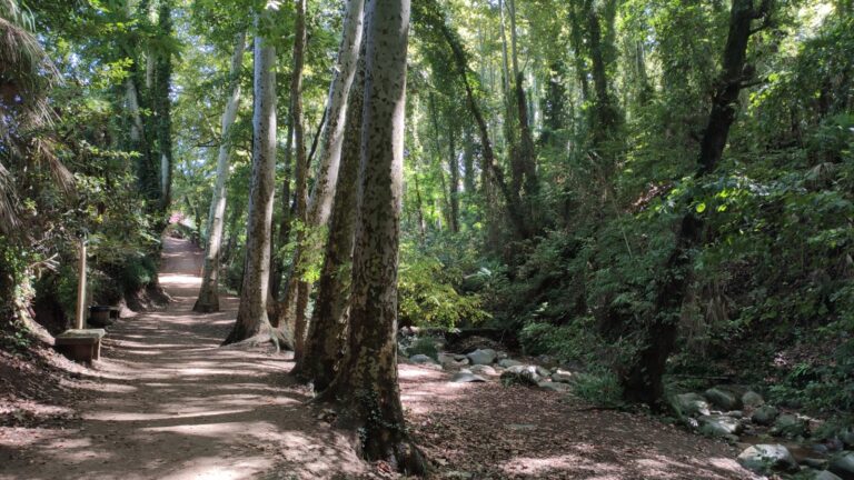 Parc de la Corbadora al Pont del Moli de les Pipes PR C 202 Arbucies 3 768x432