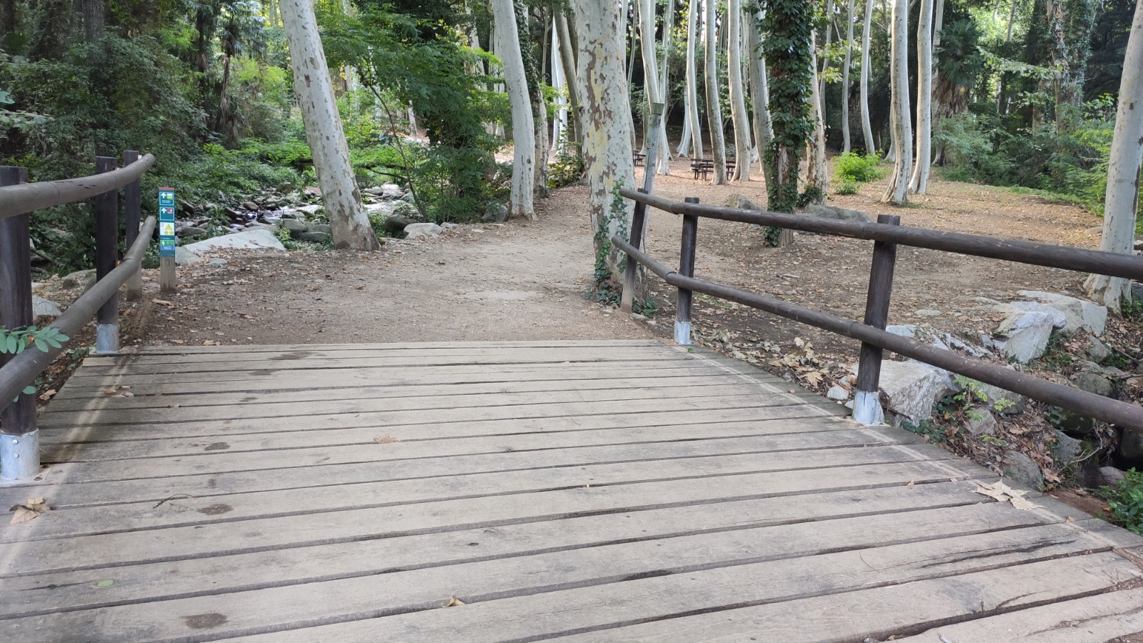 Parc de la Corbadora al Pont del Moli de les Pipes PR C 202 Arbucies 31