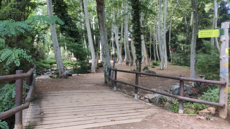 Parc de la Corbadora al Pont del Moli de les Pipes PR C 202 Arbucies 5 768x432