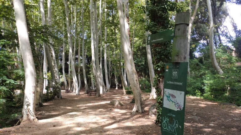 Parc de la Corbadora al Pont del Moli de les Pipes PR C 202 Arbucies 7 768x432