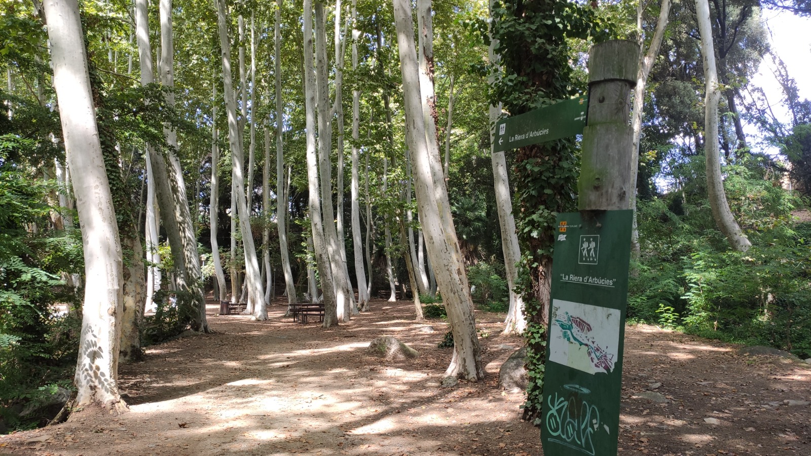 Parc de la Corbadora al Pont del Moli de les Pipes PR C 202 Arbucies 7